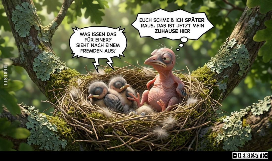 Was issen das für einer? Sieht nach einem Fremden aus! - Euch schmeiß ich später raus, das ist jetzt mein zuhause hier.