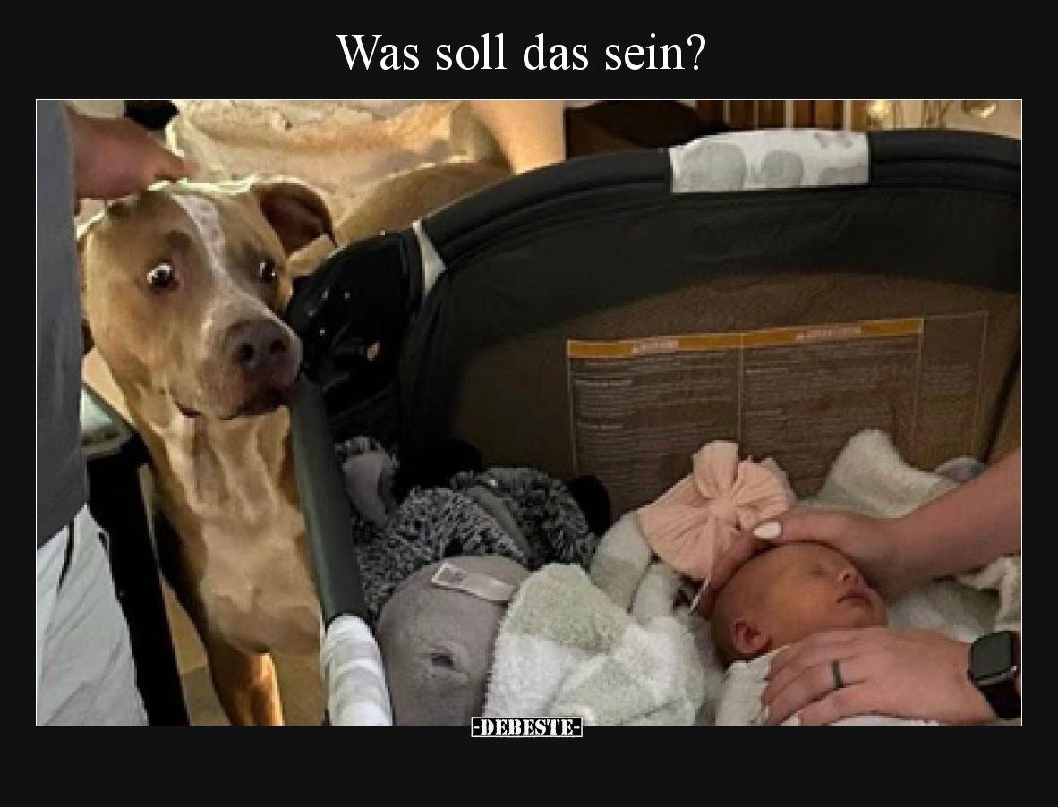 Was soll das sein?
