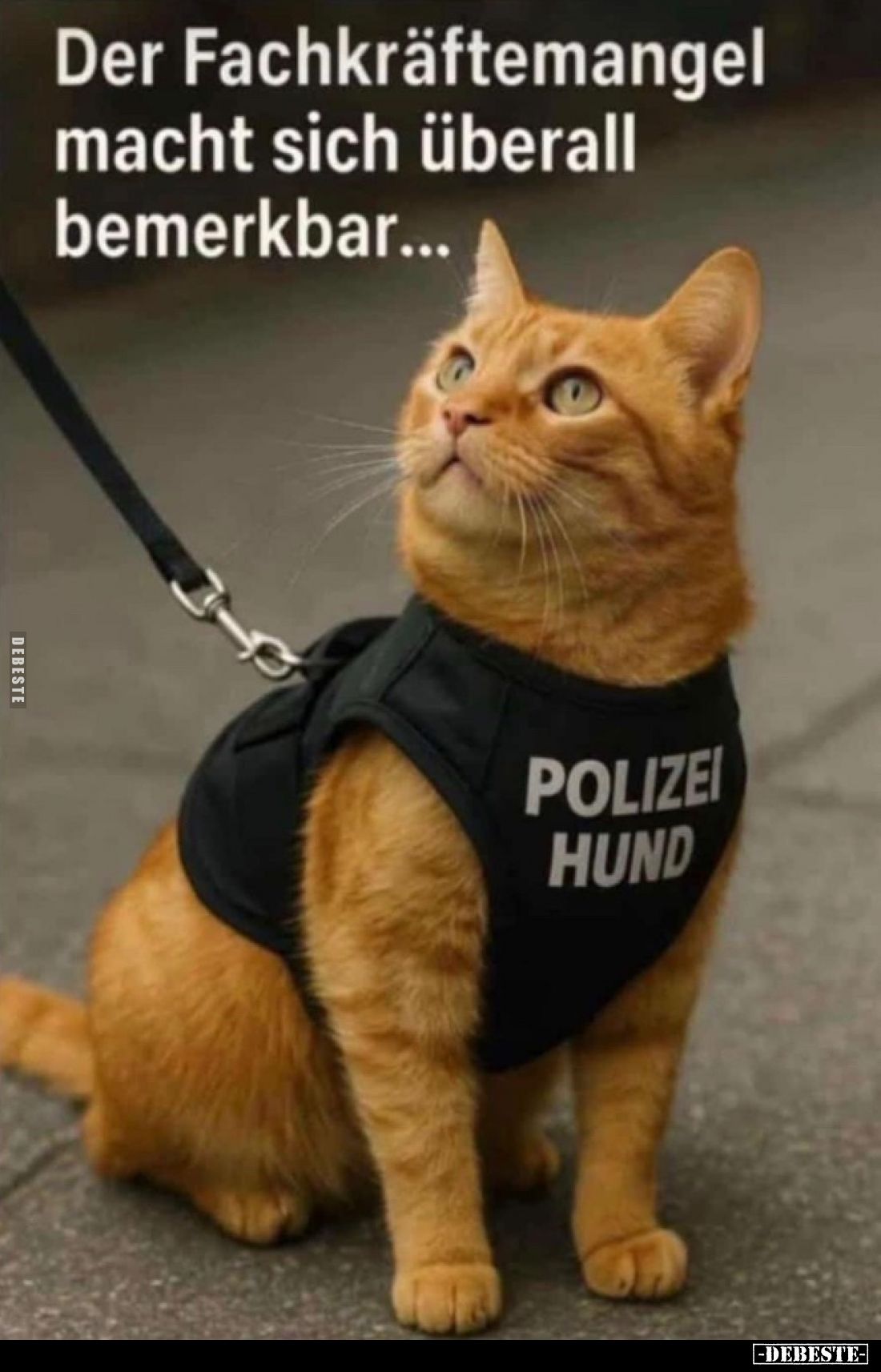 Der Fachkräftemangel macht sich überall bemerkbar...