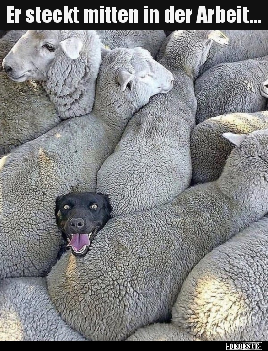 Er steckt mitten in der Arbeit...