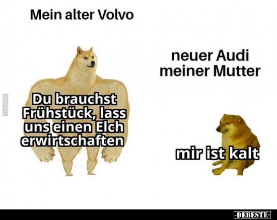 Mein alter Volvo: Du brauchst Frühstück, lass uns einen.. - Lustige Bilder | DEBESTE.de