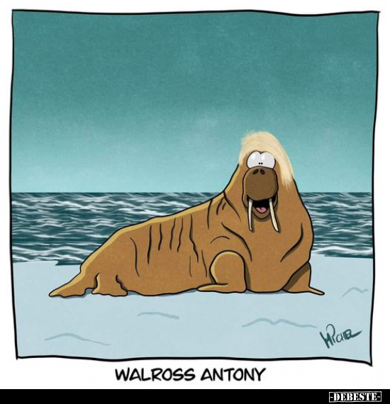 Walross Antony.. - Lustige Bilder | DEBESTE.de