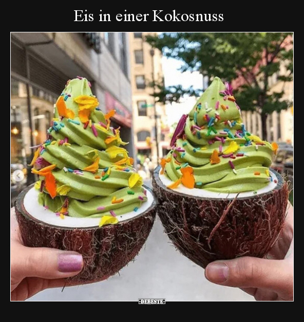 Eis in einer Kokosnuss.. - Lustige Bilder | DEBESTE.de