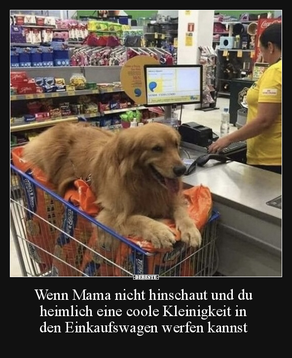 Wenn Mama nicht hinschaut und du heimlich eine coole.. - Lustige Bilder | DEBESTE.de
