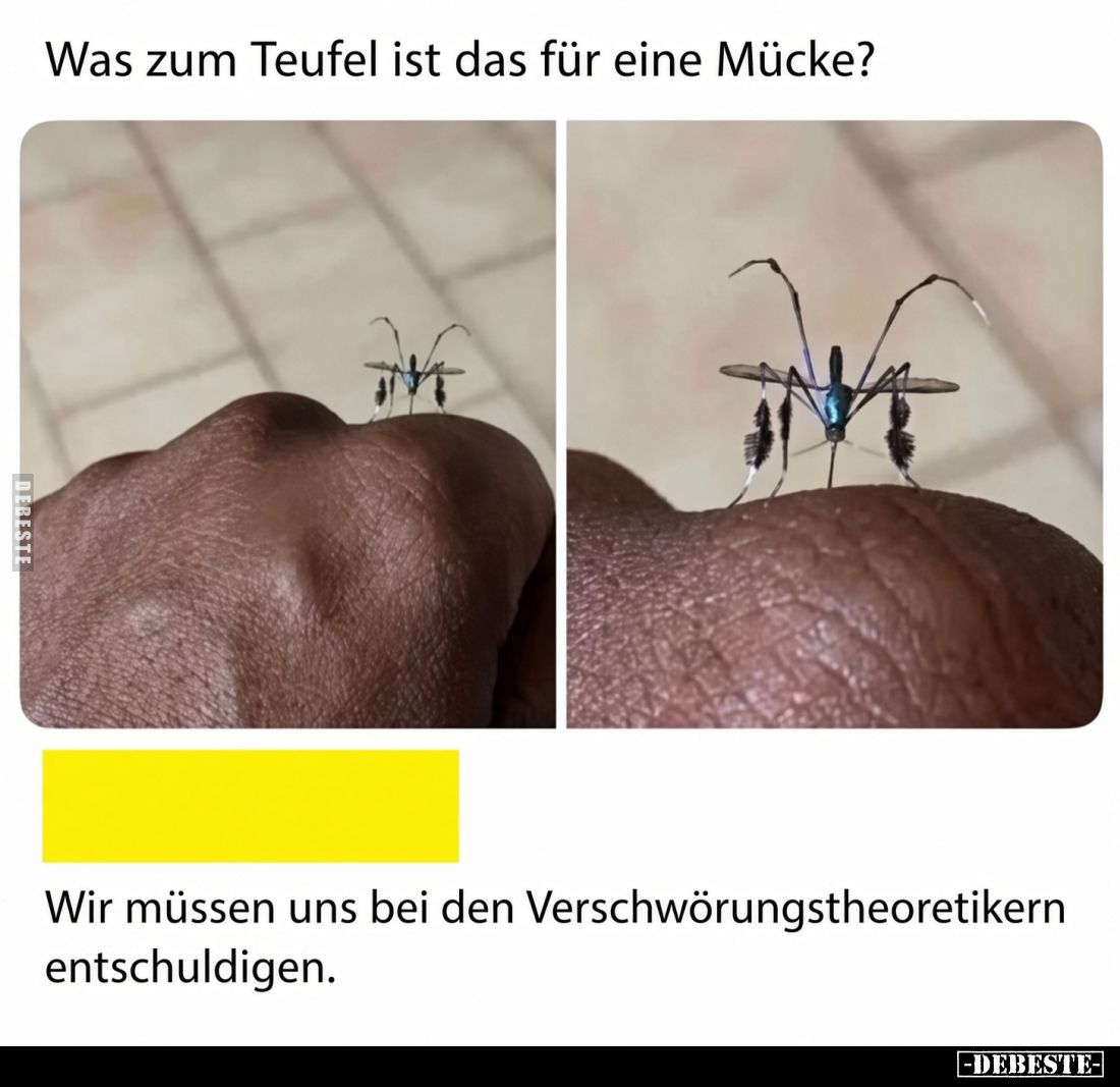 Was zum Teufel ist das für eine Mücke? 
Wir müssen uns bei den Verschwörungstheoretikern entschuldigen.