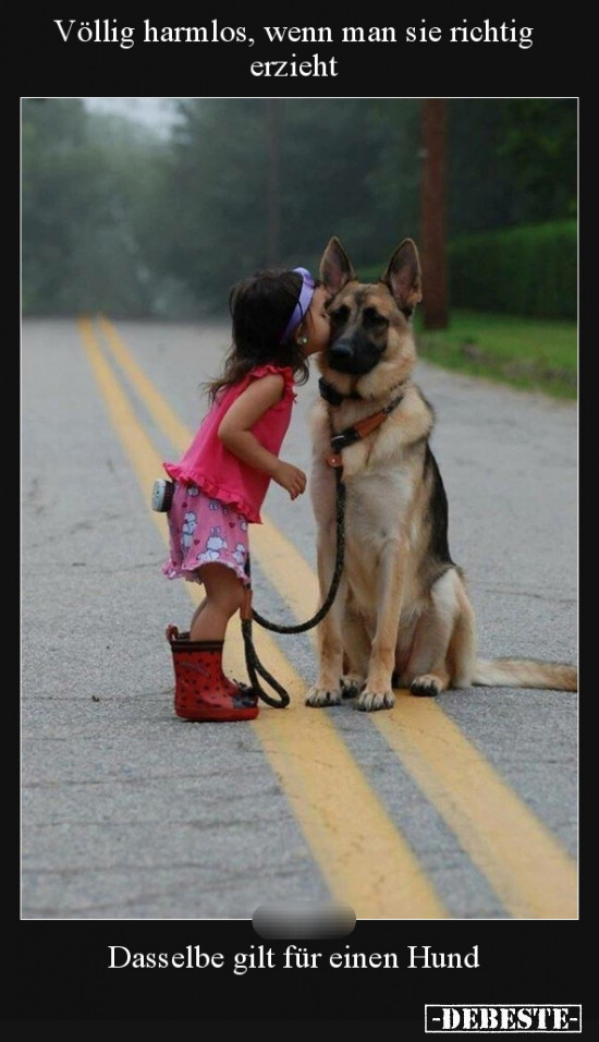  - Lustige Bilder | DEBESTE.de