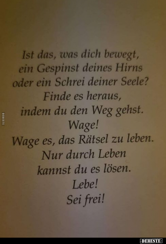 Ist das, was dich bewegt, ein Gespinst deines Hirns oder.. - Lustige Bilder | DEBESTE.de