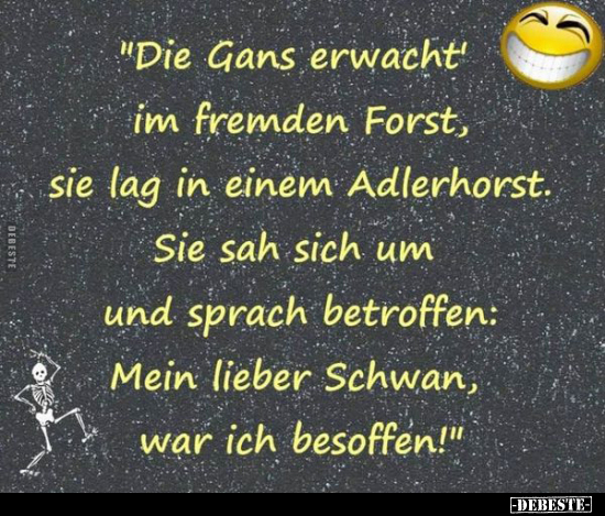 "Die Gans erwacht' im fremden Forst.." - Lustige Bilder | DEBESTE.de