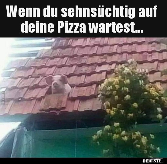 Wenn du sehnsüchtig auf deine Pizza wartest...