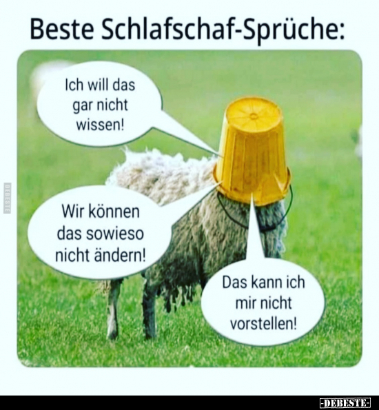 - Lustige Bilder | DEBESTE.de
