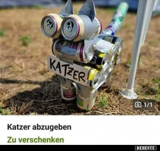 Katzer abzugeben - Zu verschenken.. - Lustige Bilder | DEBESTE.de