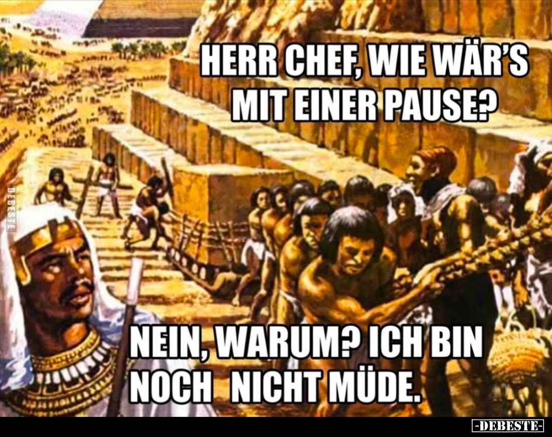 Herr Chef, wie war’s mit einer Pause?
Nein, warum? Ich bin noch nicht müde.
