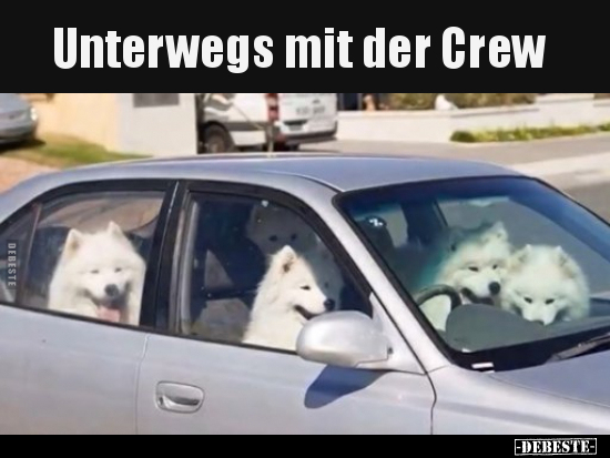 Unterwegs mit der Crew.. - Lustige Bilder | DEBESTE.de