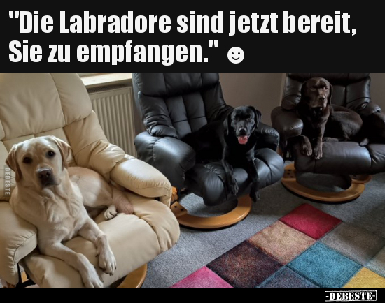 "Die Labradore sind jetzt bereit, Sie zu empfangen." ☻.. - Lustige Bilder | DEBESTE.de