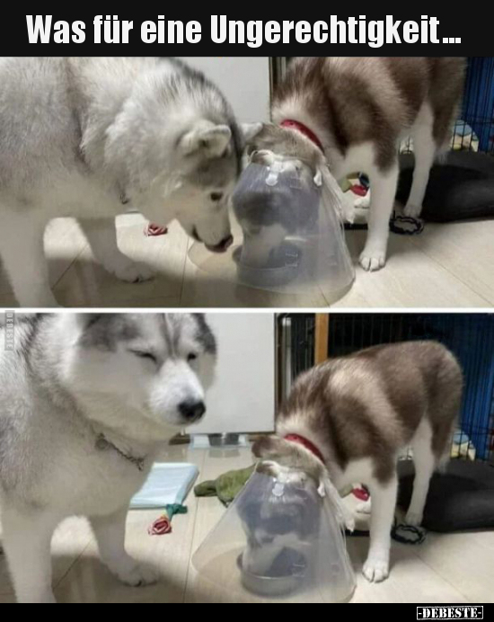 Was für eine Ungerechtigkeit