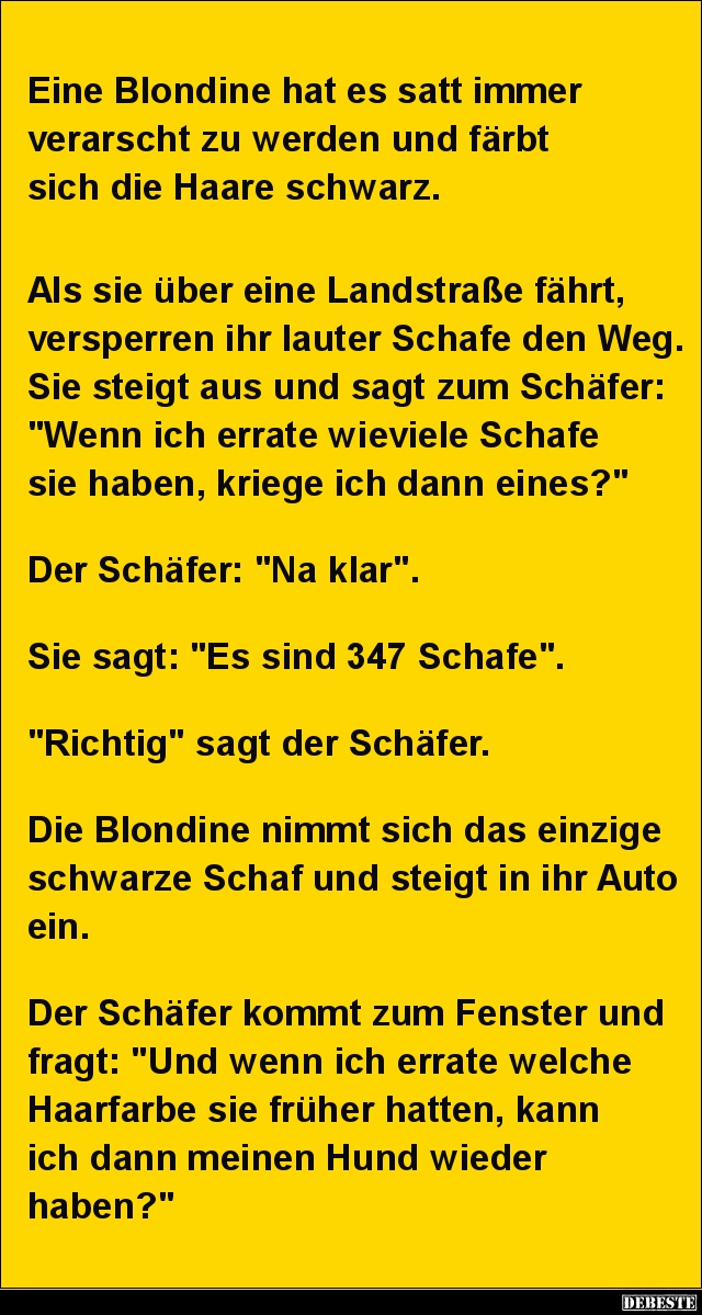 Eine Blondine hat es satt immer verarscht zu werden.. - Lustige Bilder | DEBESTE.de