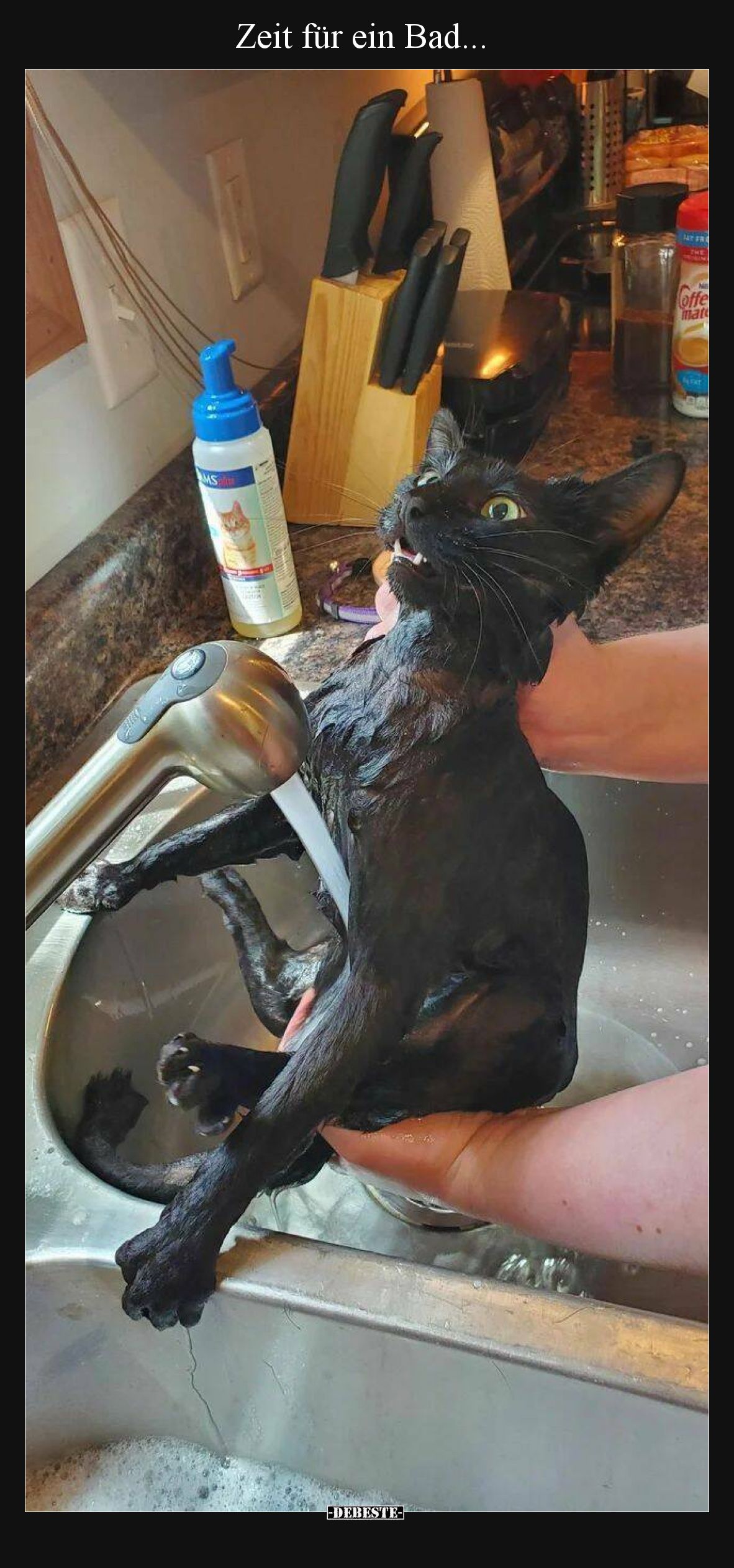 Zeit für ein Bad...