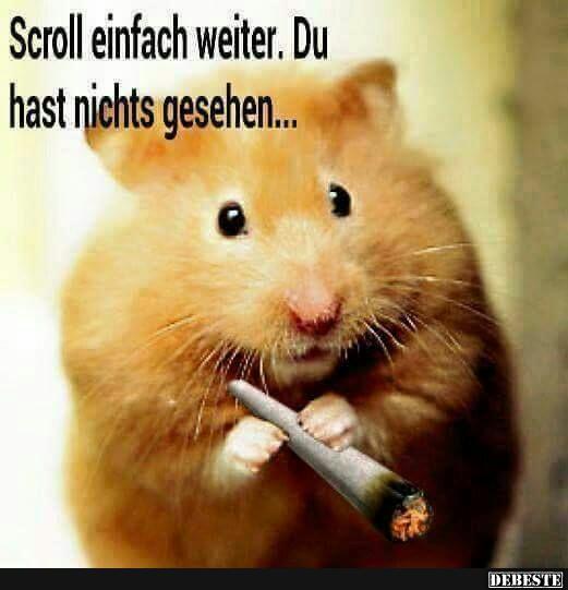 Scroll einfach weiter..