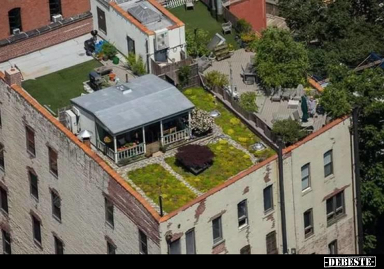  - Lustige Bilder | DEBESTE.de