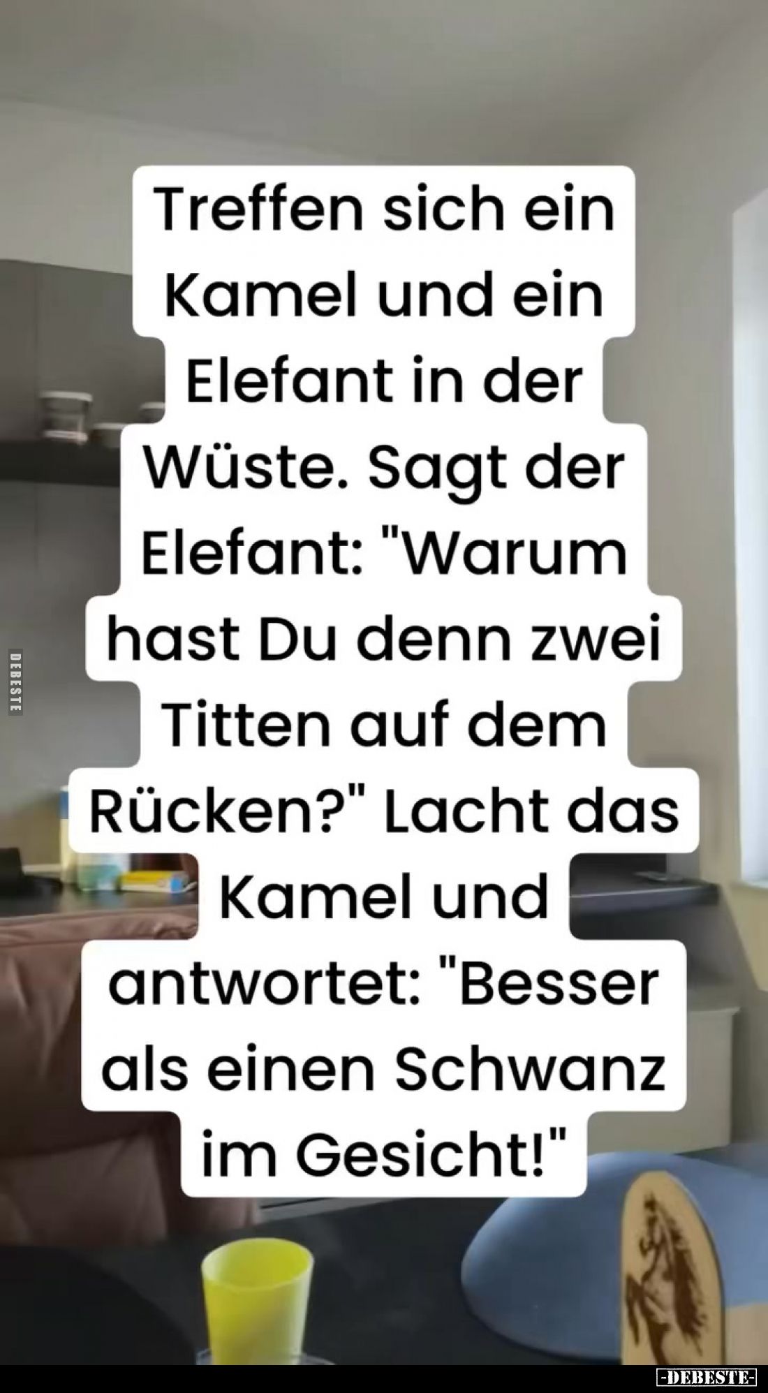 Treffen sich ein Kamel und ein Elefant in der Wüste. Sagt der Elefant: "Warum hast Du denn zwei Titten auf dem Rücken?&q...