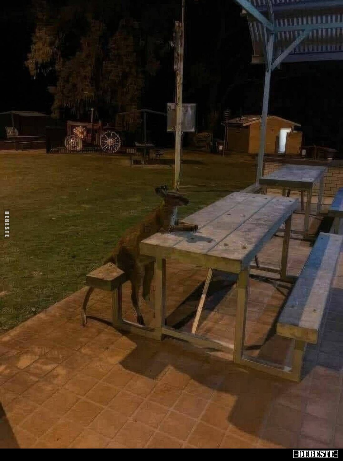  - Lustige Bilder | DEBESTE.de