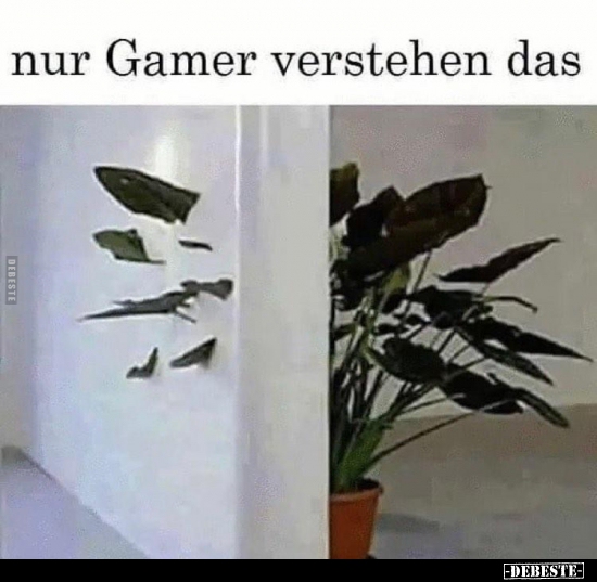 Nur Gamer verstehen das..