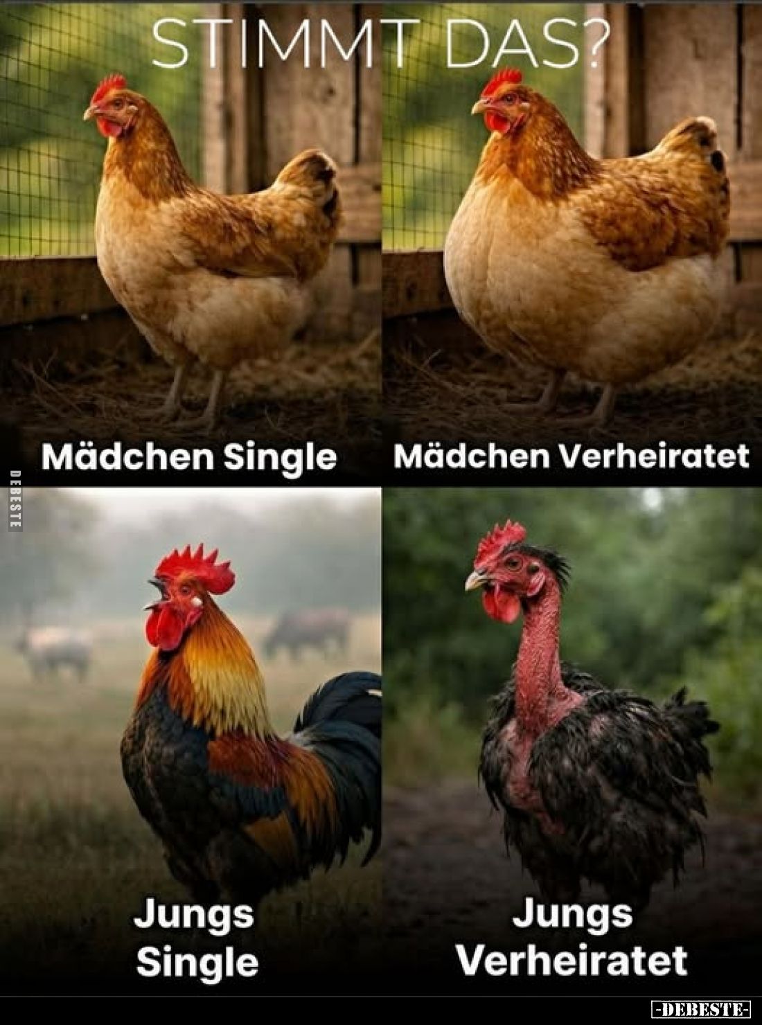 Stimmt das?
-
Mädchen Single
-
Mädchen Verheiratet
-
Jungs Single
-
Jungs Verheiratet