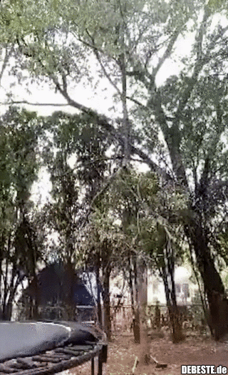 Schaut, das wird meine beste Nummer sein!