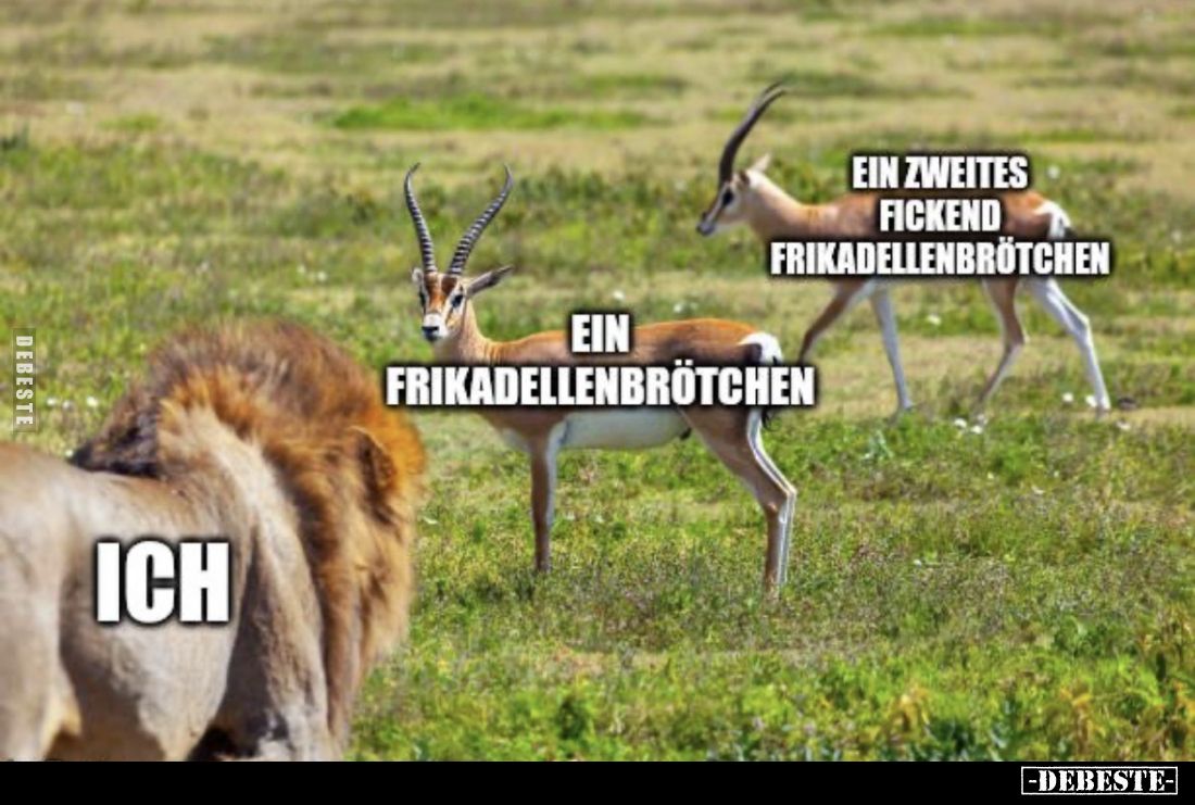 Ich - Ein Frikadellenbrötchen - Ein zweites fickend Frikadellenbrötchen.