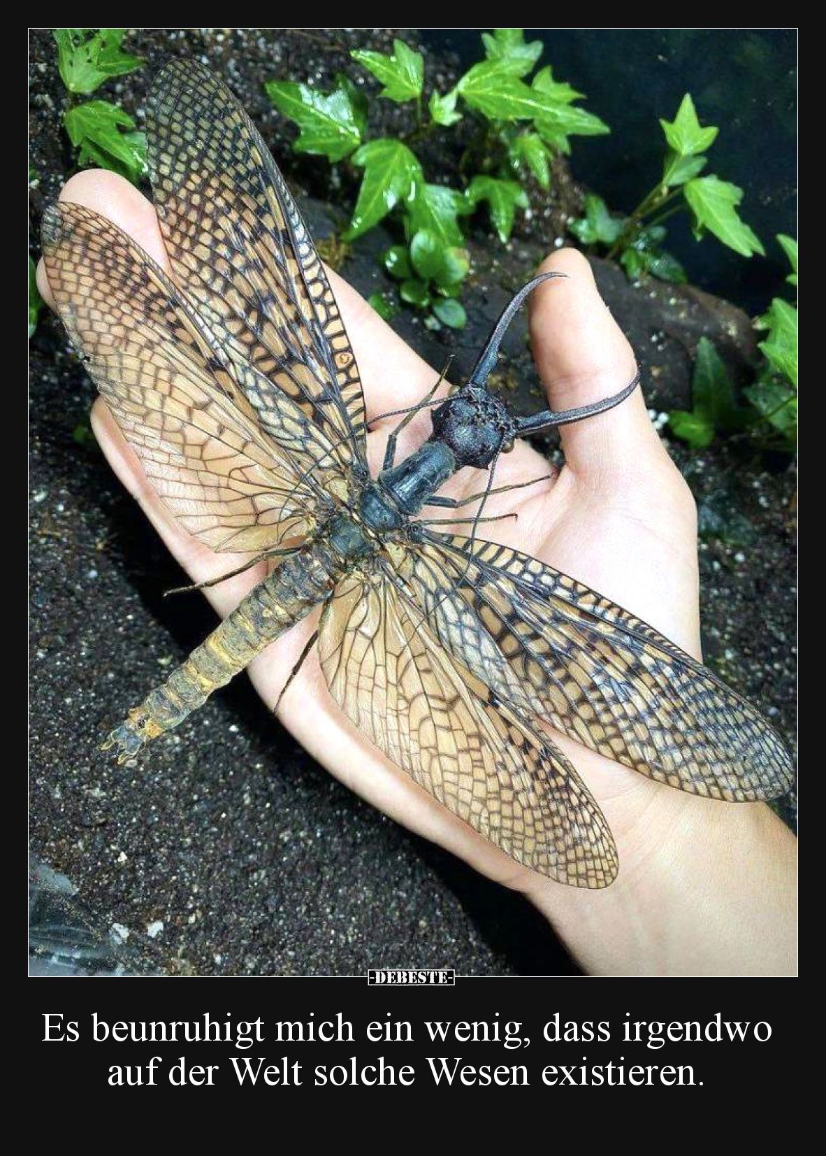 Es beunruhigt mich ein wenig, dass irgendwo auf der Welt.. - Lustige Bilder | DEBESTE.de