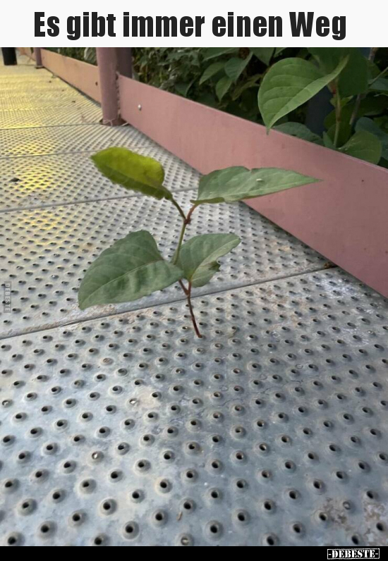 Es gibt immer einen Weg..