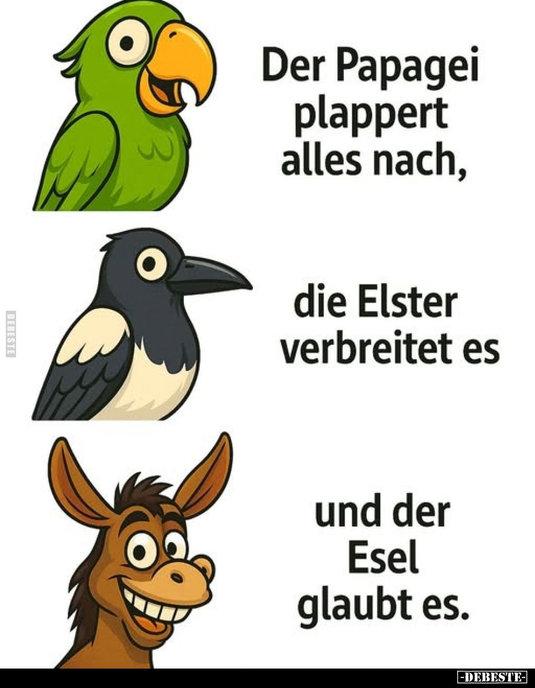 Der Papagei plappert alles nach,
die Elster verbreitet es und der Esel glaubt es.