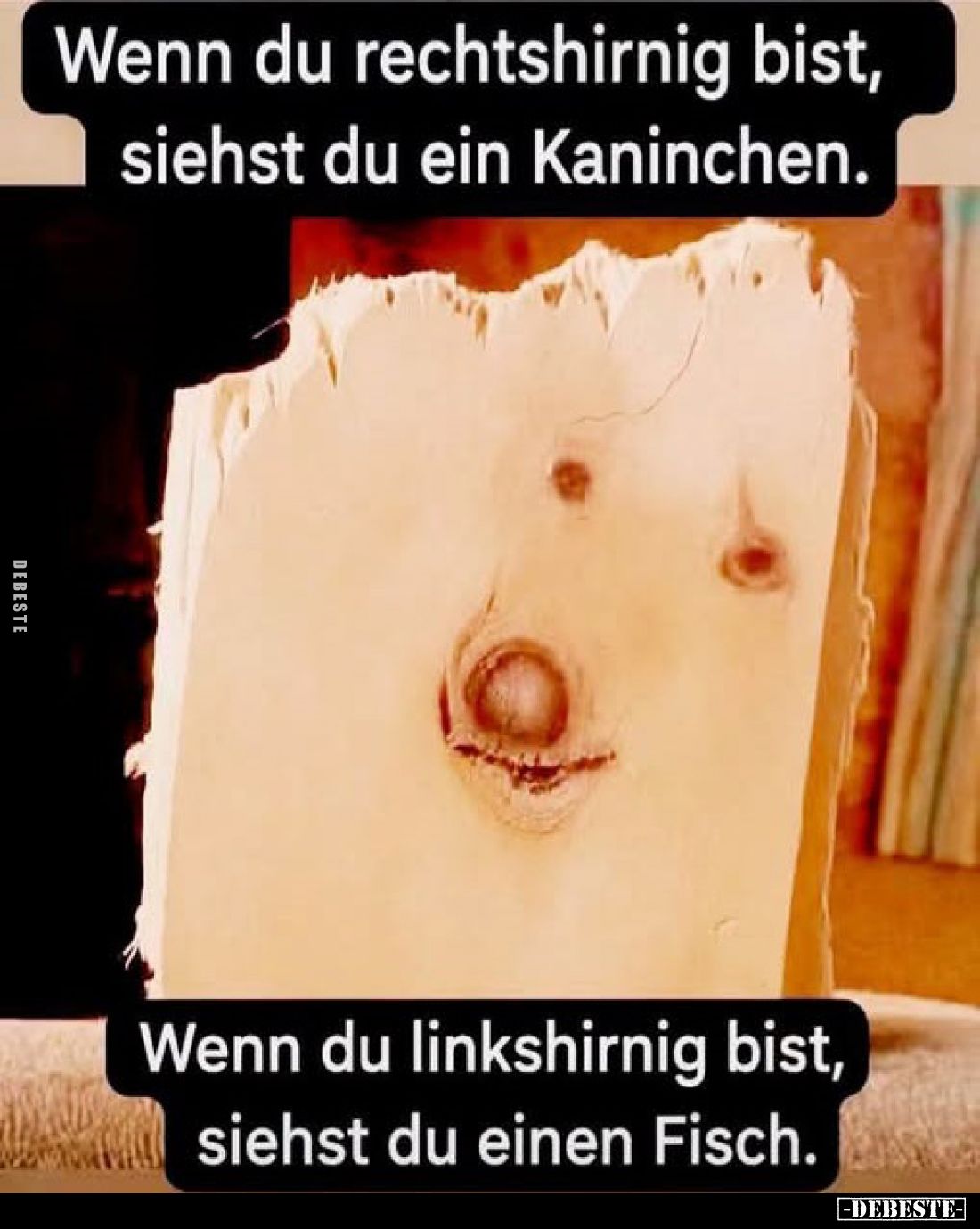 Wenn du rechtshirnig bist, siehst du ein Kaninchen.
Wenn du linkshirnig bist, siehst du einen Fisch.