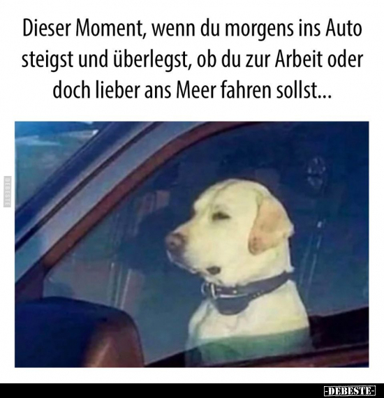 Dieser Moment, wenn du morgens ins Auto steigst.. - Lustige Bilder | DEBESTE.de