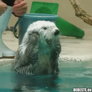  - Lustige Bilder | DEBESTE.de