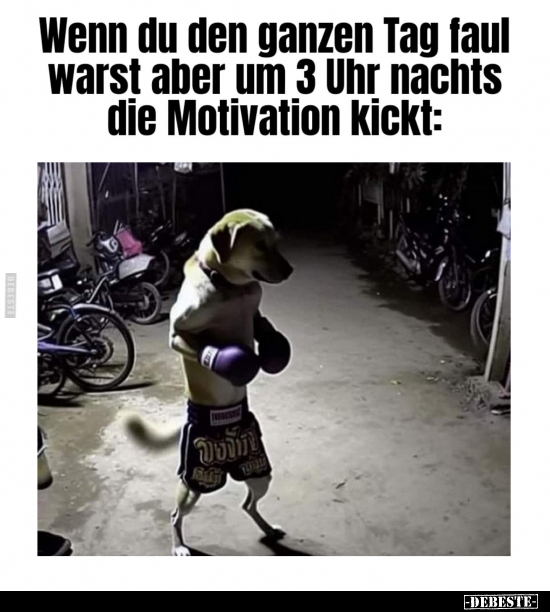 Wenn, Faul, Motivation