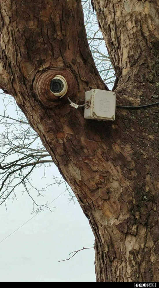  - Lustige Bilder | DEBESTE.de