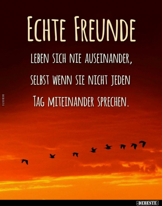 Echte Freunde leben sich nie auseinander.. - Lustige Bilder | DEBESTE.de