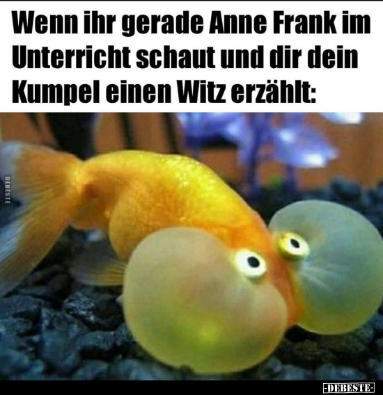 Wenn Ihr gerade Anne Frank im Unterricht schaut und dir.. - Lustige Bilder | DEBESTE.de