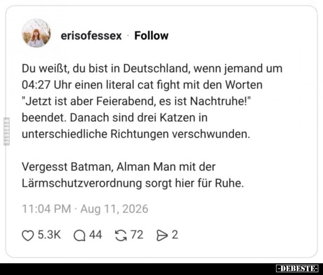 Du weißt, du bist in Deutschland, wenn jemand um 04:27 Uhr einen literal cat fight mit den Worten "Jetzt ist aber Feiera...