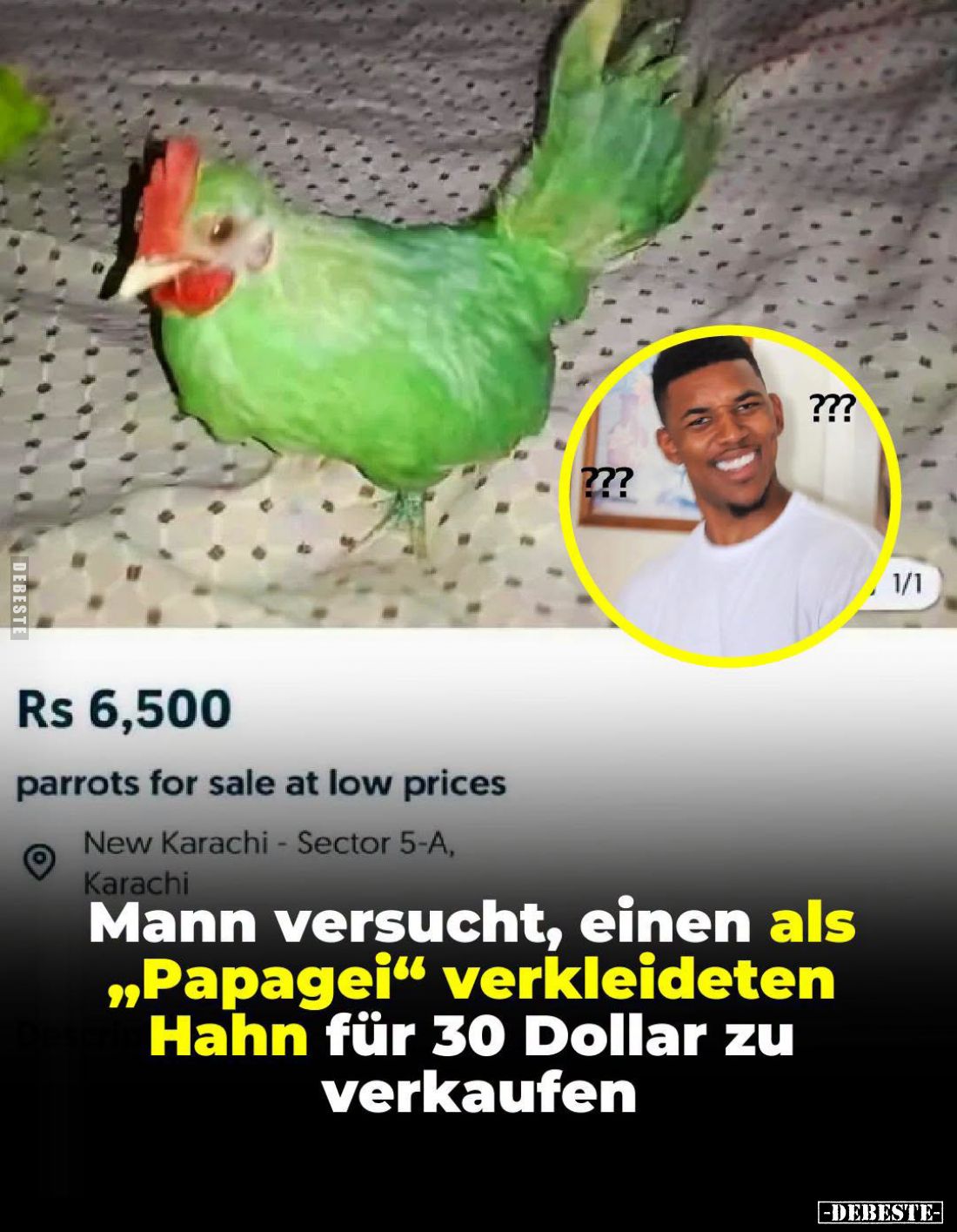 Mann versucht, einen als "Papagei" verkleideten Hahn für 30 Dollar zu verkaufen.