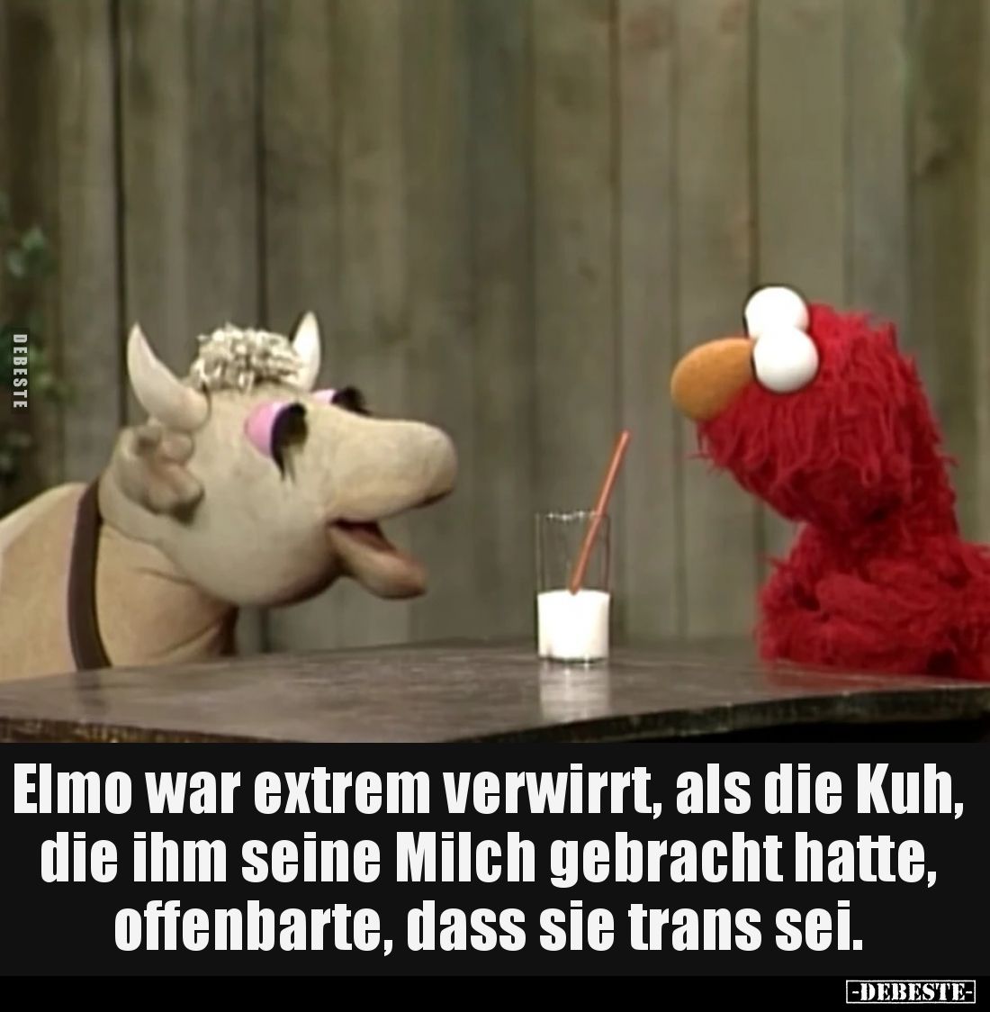 Elmo war extrem verwirrt, als die Kuh, die ihm seine Milch gebracht hatte, offenbarte, dass sie trans sei.