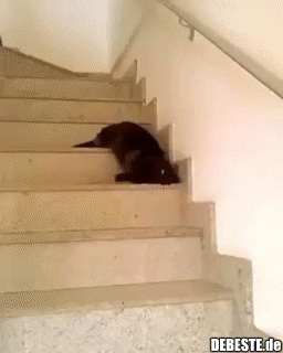 Ich zeige dir, wie man die Treppe richtig hinuntergeht.. - Lustige Bilder | DEBESTE.de