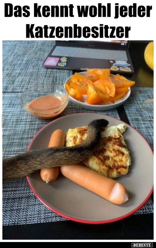 Das kennt wohl jeder Katzenbesitzer..