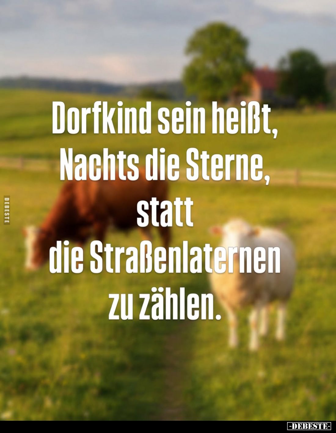 Dorfkind sein heißt, Nachts die Sterne, statt die Straßenlaternen zu zählen.