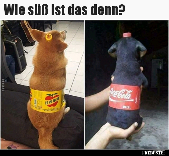 Wie süß ist das denn?..