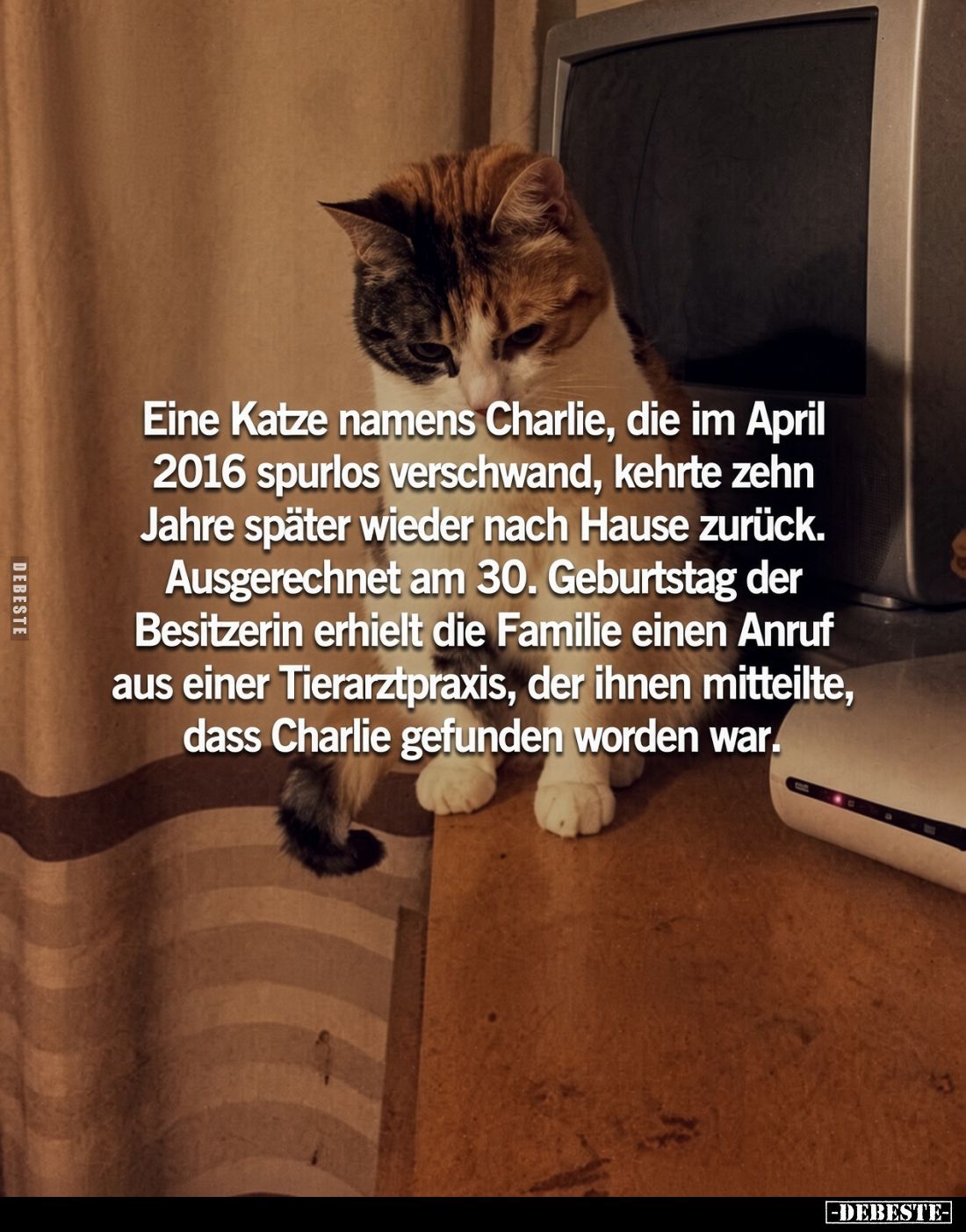 Eine Katze namens Charlie, die im April 2016 spurlos verschwand, kehrte zehn Jahre später wieder nach Hause zurück.
Ausgerec...