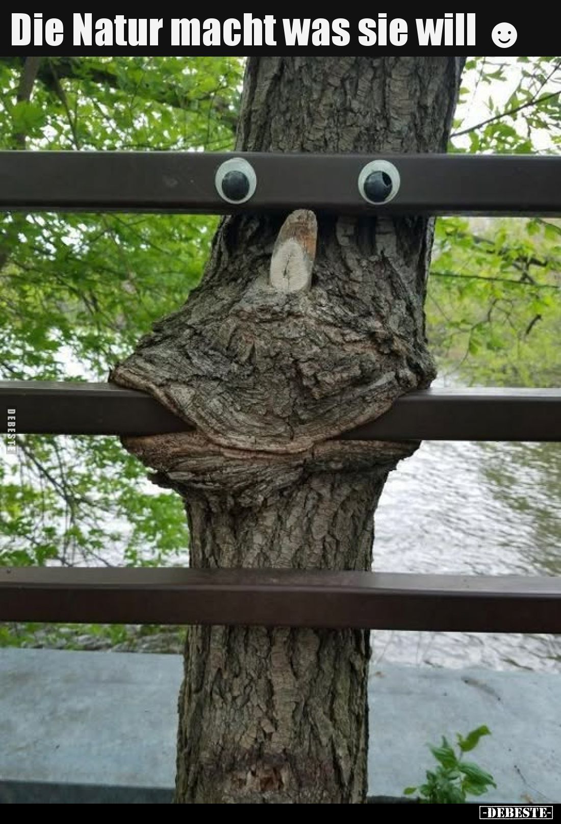 Die Natur macht was sie will.