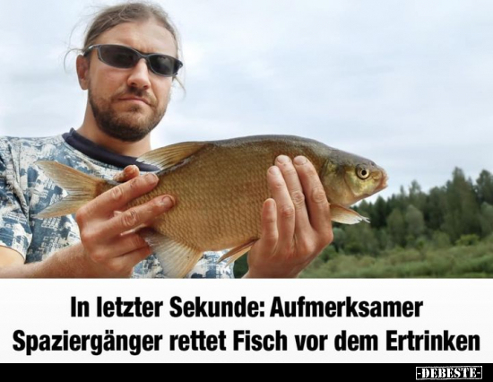 In letzter Sekunde: Aufmerksamer Spaziergänger rettet Fisch.. - Lustige Bilder | DEBESTE.de