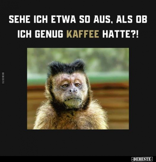 Sehe ich etwa so aus, als ob ich genug Kaffee hatte?!.. - Lustige Bilder | DEBESTE.de